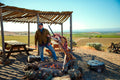 Fire, Lamb & Harvest